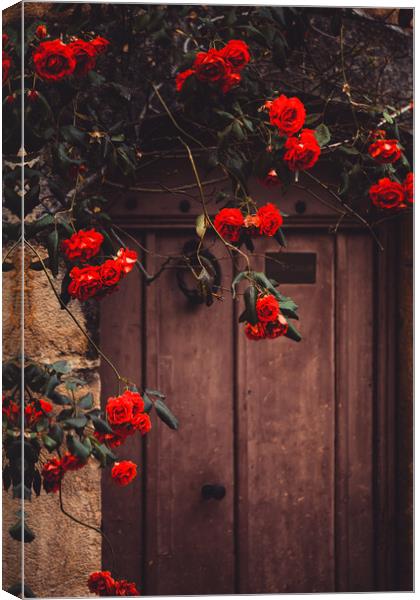 Rustic French doorway Valbonne France Canvas Print by Maggie McCall