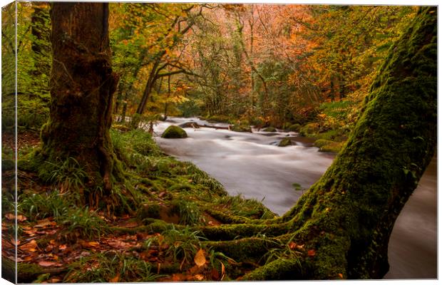 River Teign, Dartmoor, Devon. UK Canvas Print by Maggie McCall