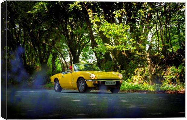 Triumph Spitfire 2 Canvas Print by Maggie McCall