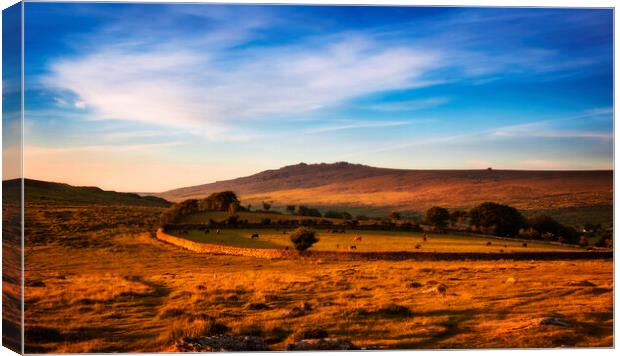 Great Mis  Tor, Dartmoor. Canvas Print by Maggie McCall