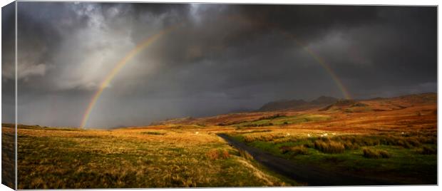 Harter Fell from Birker Fell Road, Cumbria UK  Canvas Print by Maggie McCall