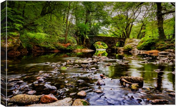 Denham Bridge, Dartmoor Canvas Print by Maggie McCall