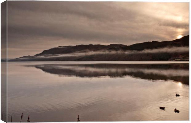 COLD MISTY MORNING(Ducks on the loch) Canvas Print by raymond mcbride