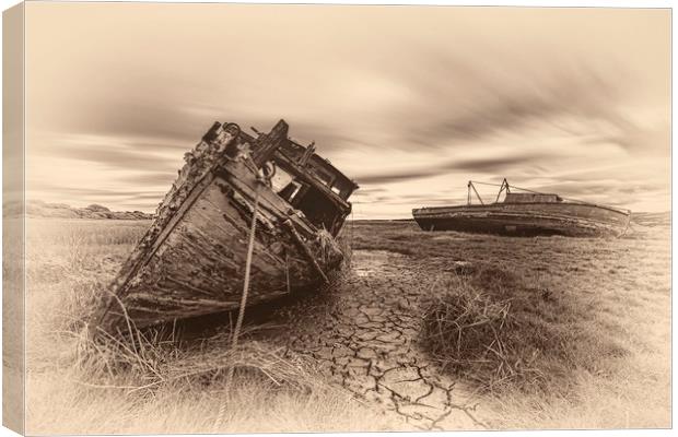 Grounded&Abandoned Canvas Print by raymond mcbride