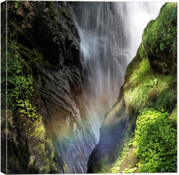  "Aira Force Waterfall Cumbria" Canvas Print by raymond mcbride