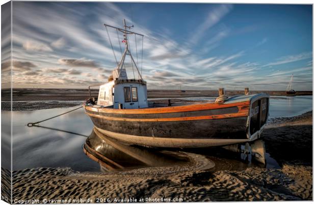 "Sitting in the Shallows" Canvas Print by raymond mcbride