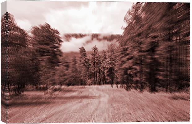 zoom blur forest Canvas Print by Isabel Antonelli