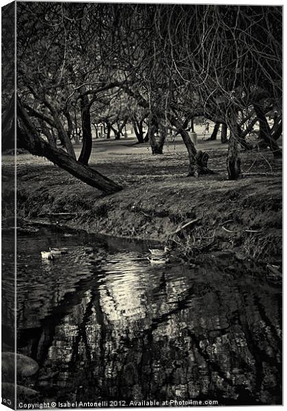 Tree and Stream Canvas Print by Isabel Antonelli