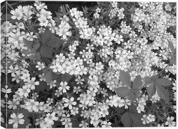Carpet of Black & White Canvas Print by Lee Hall
