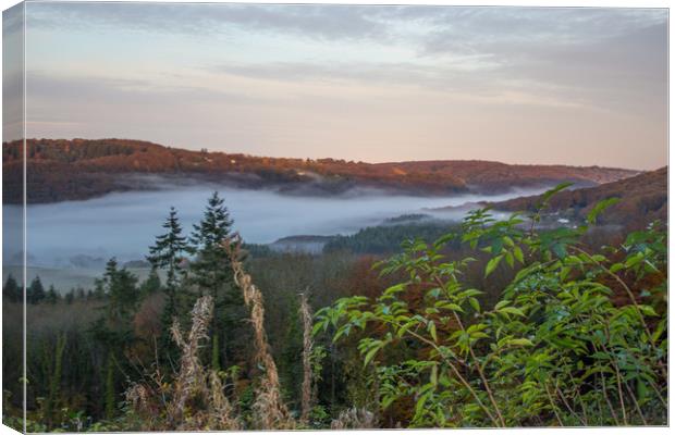 Mystical Valley Canvas Print by Lee Hall