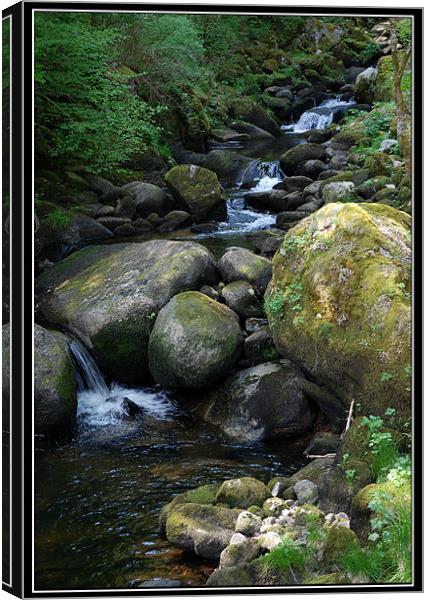 Wasserfall, Triberg, Germany Canvas Print by Art Magdaluyo