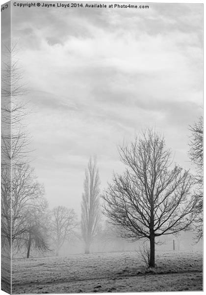 Freezing Fog in Admirals Park Canvas Print by J Lloyd