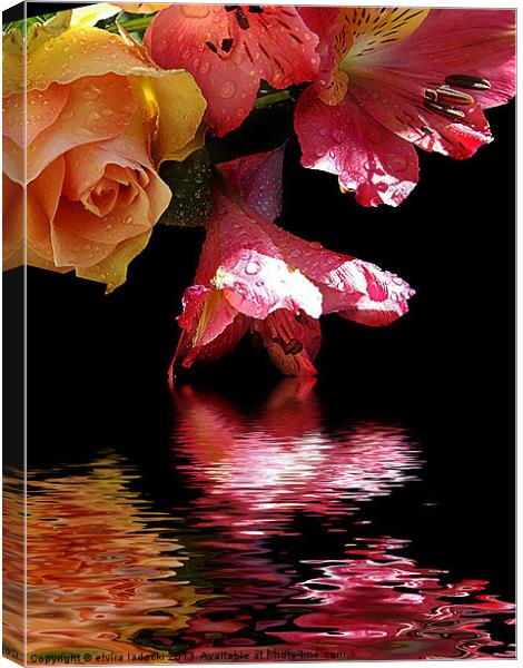 flowers with the reflections Canvas Print by elvira ladocki