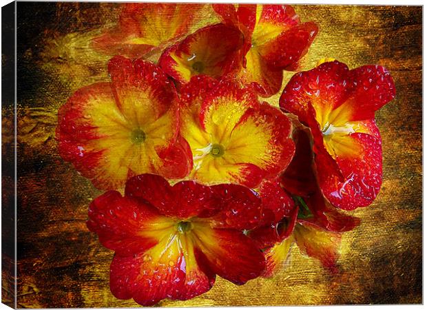 1414-red flowers Canvas Print by elvira ladocki