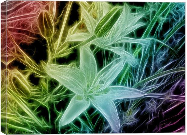 fractal lilys Canvas Print by elvira ladocki