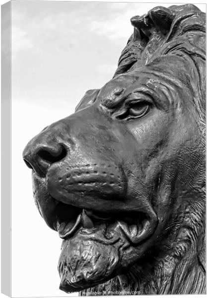 Close-Up Of Lion Sculpture, Trafalgar Square, Lond Canvas Print by Luigi Petro