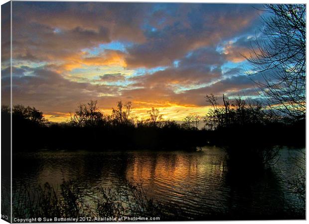 Hertfordshire sunrise Canvas Print by Sue Bottomley