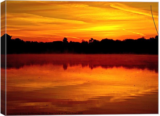 Sunrise in Rickmansworth Canvas Print by Sue Bottomley