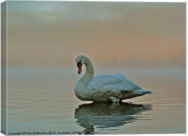 Swan standing proud and strong Canvas Print by Sue Bottomley