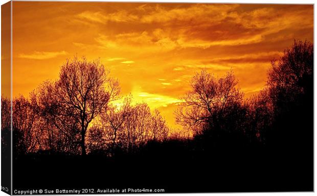 Beautiful sunset over Hertfordshire Canvas Print by Sue Bottomley