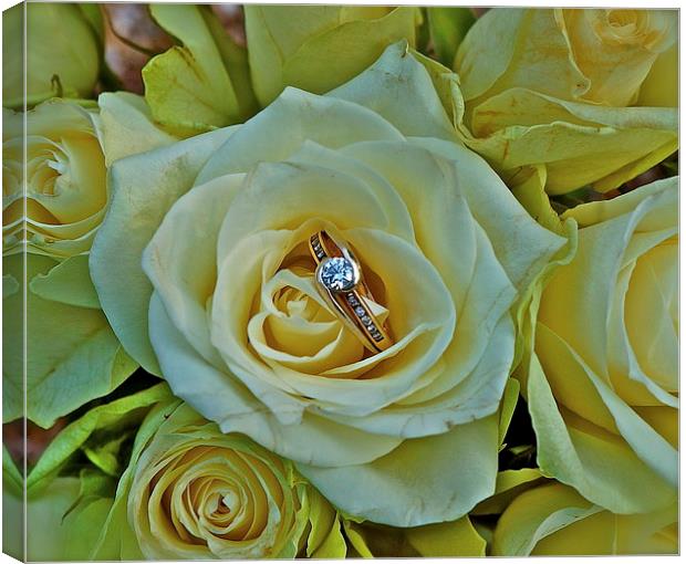 Will you marry me :) Canvas Print by Sue Bottomley
