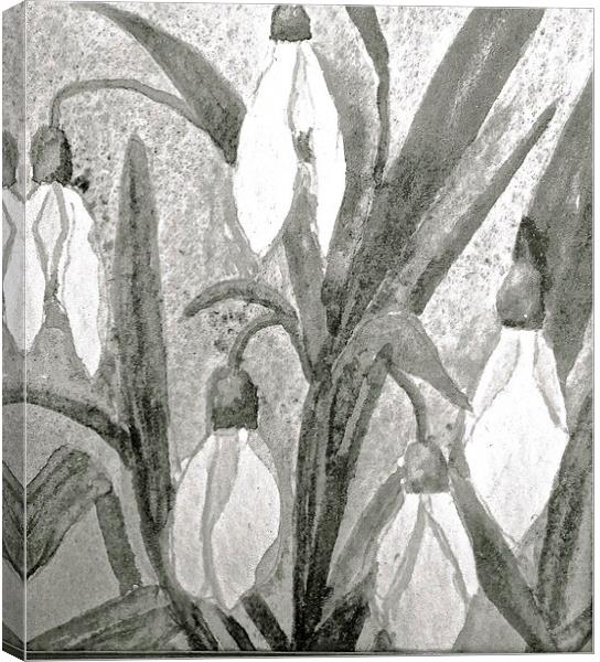  Black and White drawing effect of Snow drops Canvas Print by Sue Bottomley