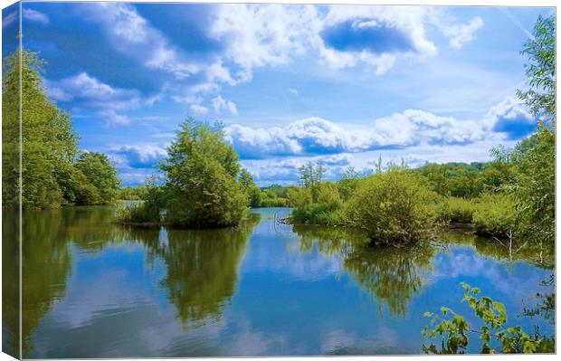 Stockers Lake Nature Reserve Rickmansworth Canvas Print by Sue Bottomley