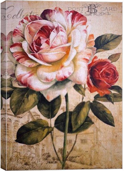 Textured Rose on textured background Canvas Print by Sue Bottomley