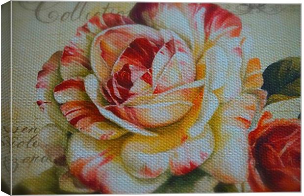  Large Textured Rose Flower Canvas Print by Sue Bottomley