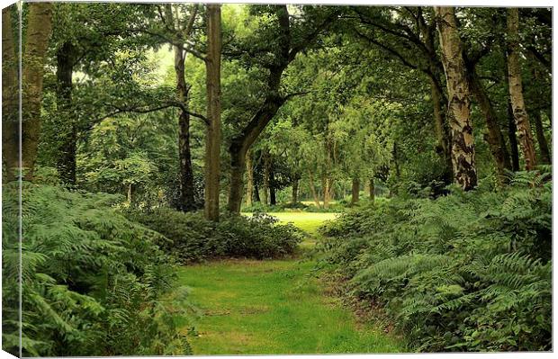 Chorleywood Common and woods  Canvas Print by Sue Bottomley