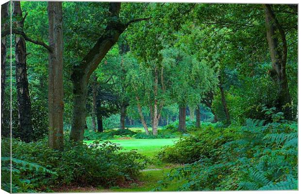 Chorleywood Common and woods  Canvas Print by Sue Bottomley