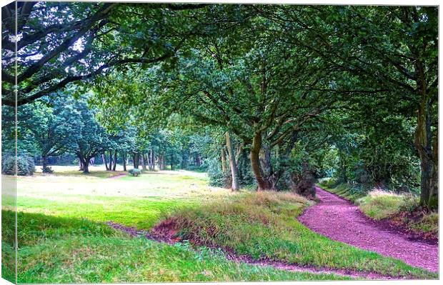 Choleywood Common wooded area  Canvas Print by Sue Bottomley