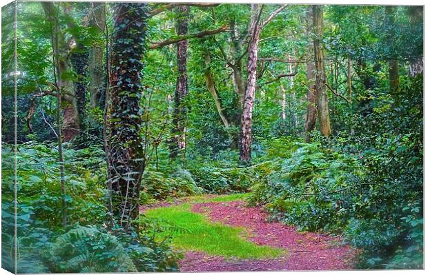 Woodland Area in Chorlywood Common in Hertfordshir Canvas Print by Sue Bottomley