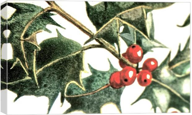  Christmas Time Holly Time Canvas Print by Sue Bottomley