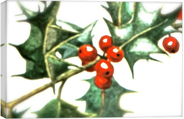 Holly and Red Berries  Canvas Print by Sue Bottomley