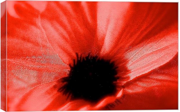  The Poppy Flower Canvas Print by Sue Bottomley
