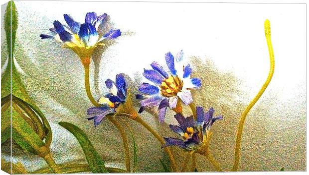 Blue silk flowers against the wall  Canvas Print by Sue Bottomley