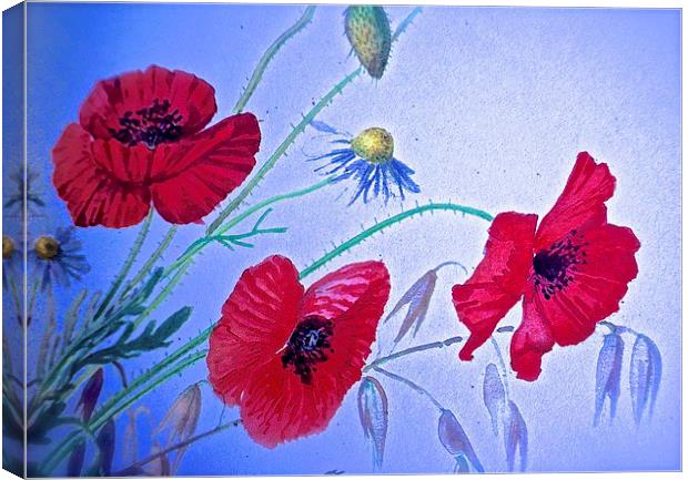  Wild Poppy Drawing Effect Photograph Canvas Print by Sue Bottomley