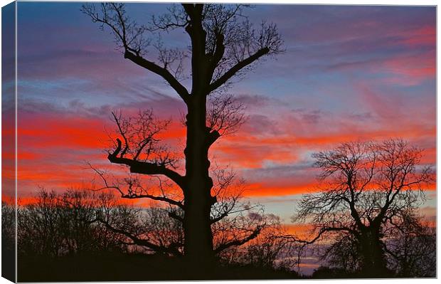  SUNSET or SUNRISE Canvas Print by Sue Bottomley