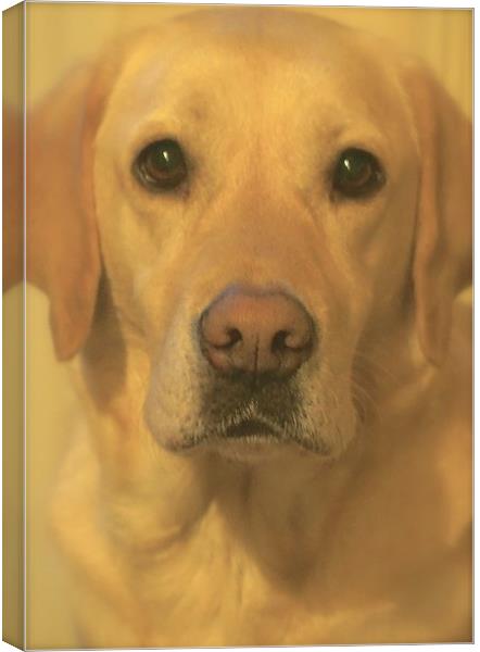  Golden Labrador Dog Bestfriend                    Canvas Print by Sue Bottomley
