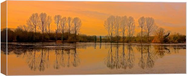 Trees reflection across the lake                   Canvas Print by Sue Bottomley