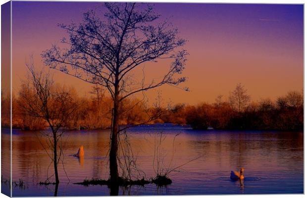 Sunset over the lake                               Canvas Print by Sue Bottomley