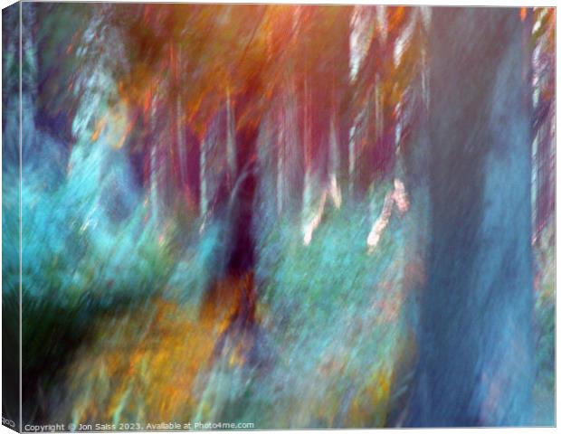 Woods at Sunset Canvas Print by Jon Saiss