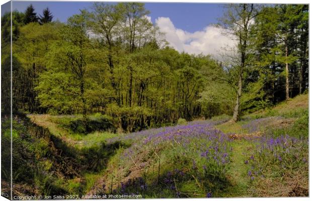 Bluebells on Cannock Chase Canvas Print by Jon Saiss