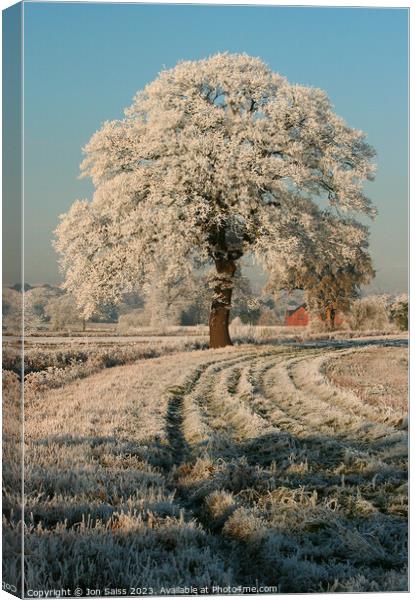 Snow covered Tree Canvas Print by Jon Saiss