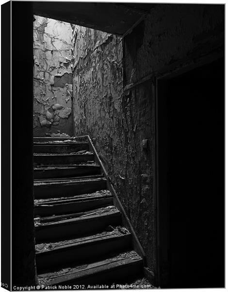 Descent into Madness Canvas Print by Patrick Noble