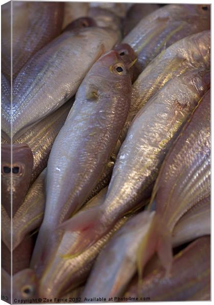 Fresh fish at the Market Canvas Print by Zoe Ferrie