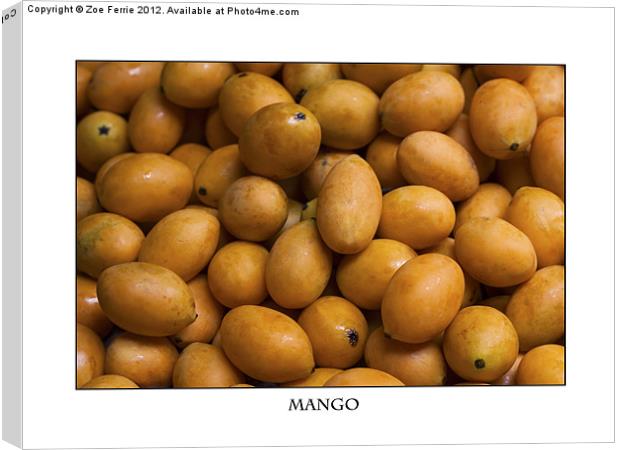 Market Mangoes against white background Canvas Print by Zoe Ferrie