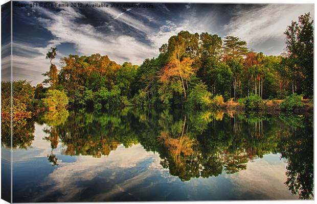 Reflections Canvas Print by Zoe Ferrie