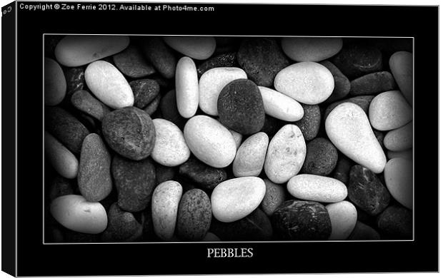 Simply Stones Canvas Print by Zoe Ferrie